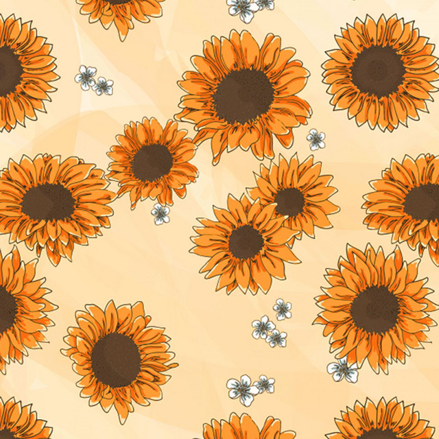 Sunshine cover art