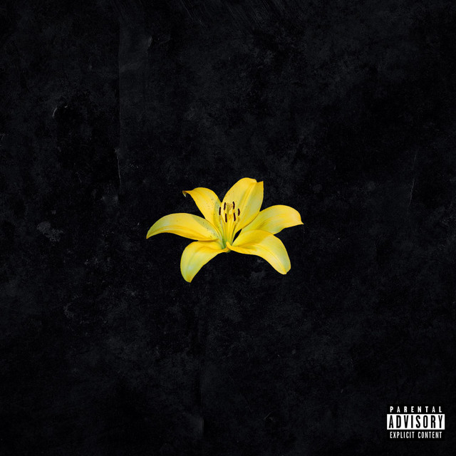 Жёлтые Лилии cover art
