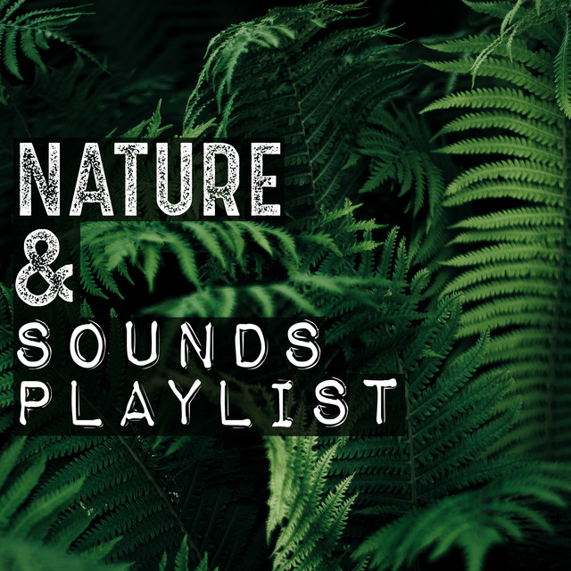Nature & Sounds Playlist cover art