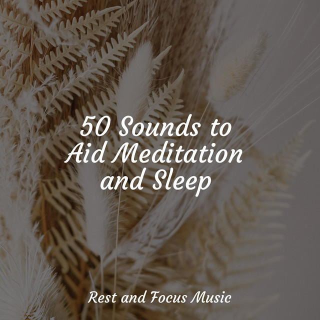 50 Sounds to Aid Meditation and Sleep - Album by Baby Sleep Music | Spotify