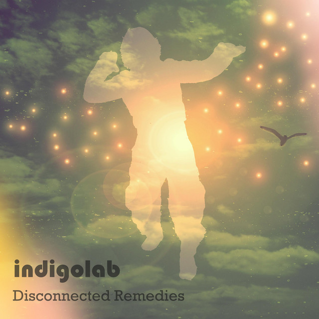 Disconnected Remedies cover