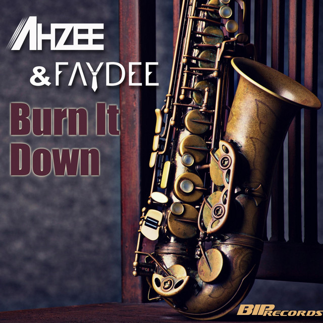 Burn It Down - Radio Edit
