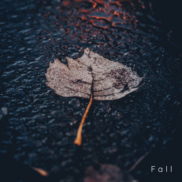 Обкладинка: Fall — Clavier