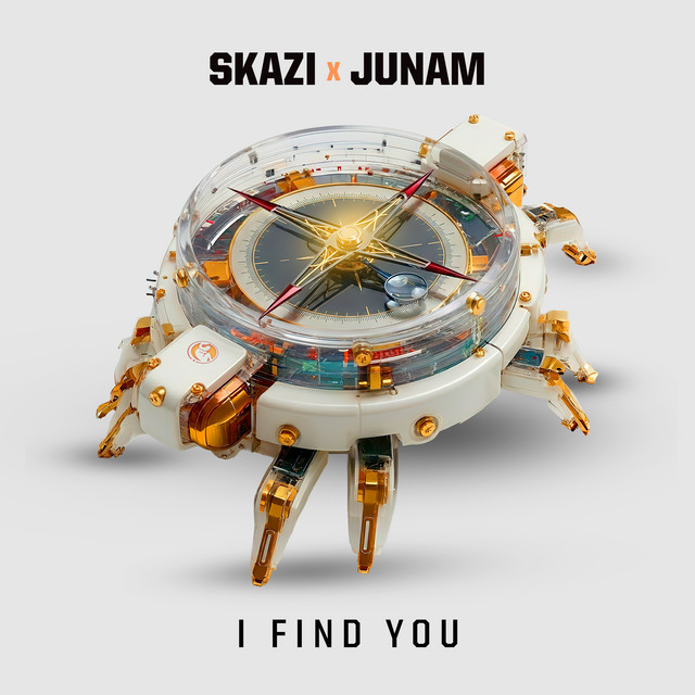 I Find You cover art
