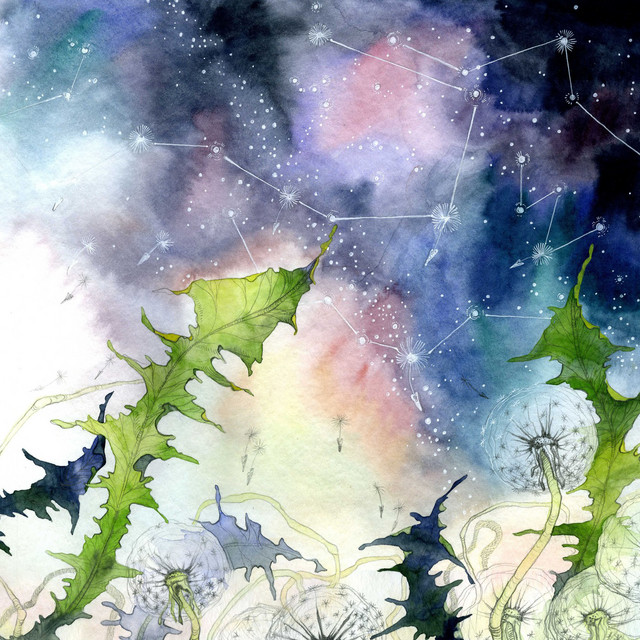 Album art for Trust