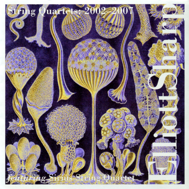 String Quartets: 2002 - 2007 cover art