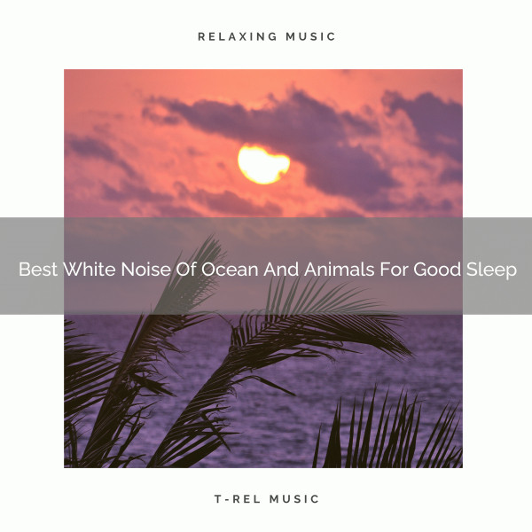 Best White Noise Of Ocean And Animals For Good Sleep cover art