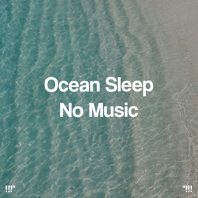 Ocean Sounds