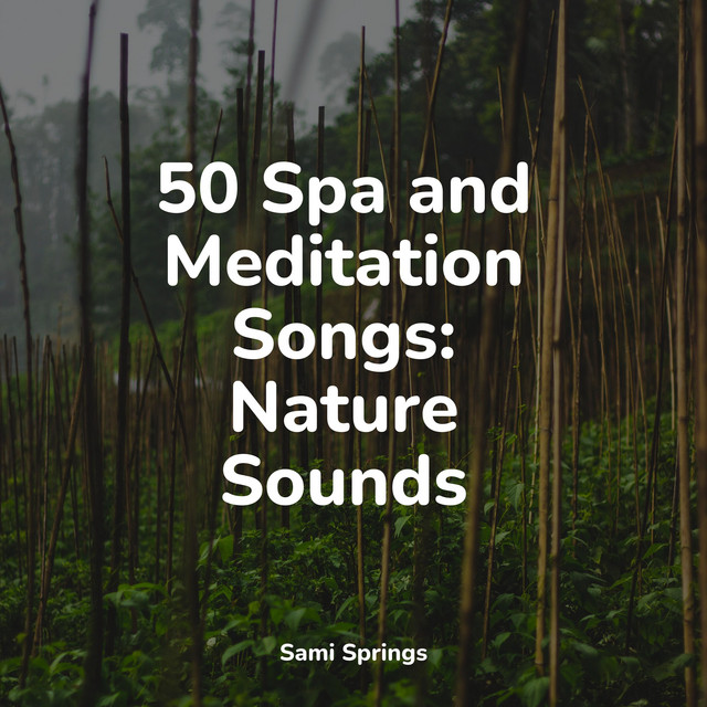 50 Spa and Meditation Songs: Nature Sounds - Album by Calming ...
