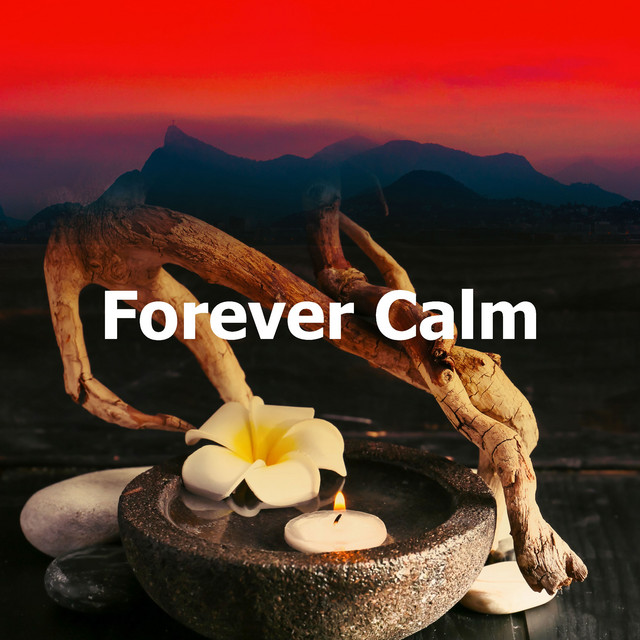 Forever Calm - Album by Reiki Armonía | Spotify
