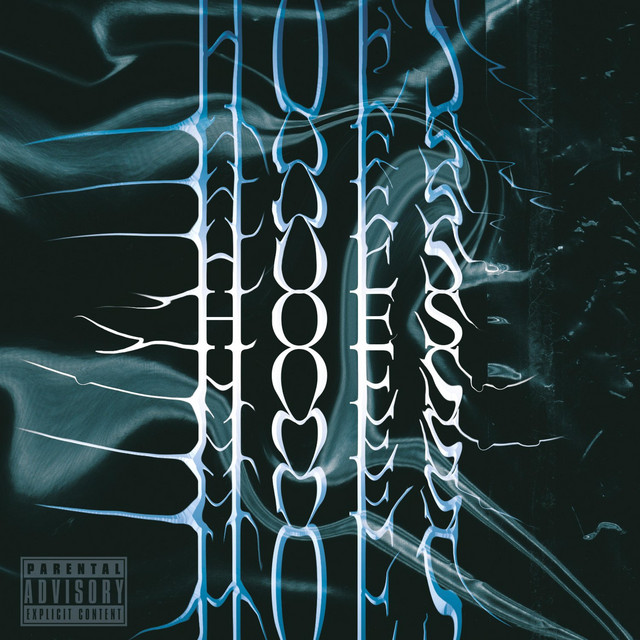 Hoes cover art