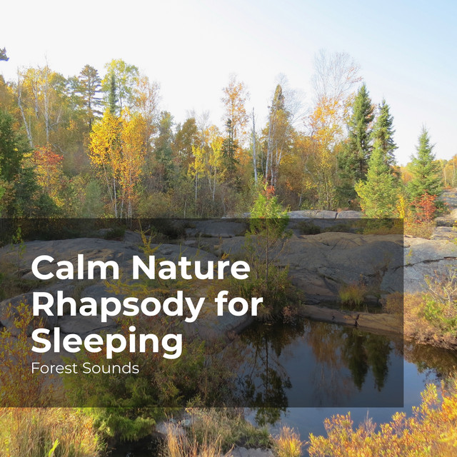 Calm Nature Rhapsody for Sleeping - Album by Forest Sounds | Spotify