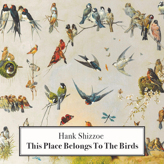 This Place Belongs to the Birds cover art