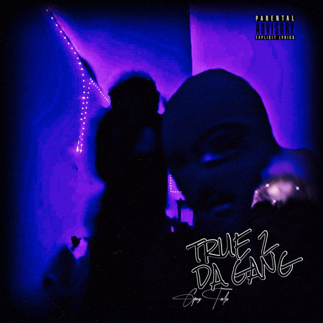 True 2 The Gang cover art