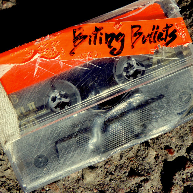 Screaming With No Echo (instrumental) - Single by Biting Bullets | Spotify