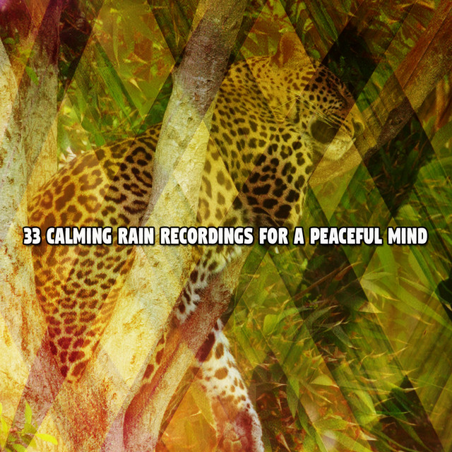 33 Calming Rain Recordings For A Peaceful Mind cover art