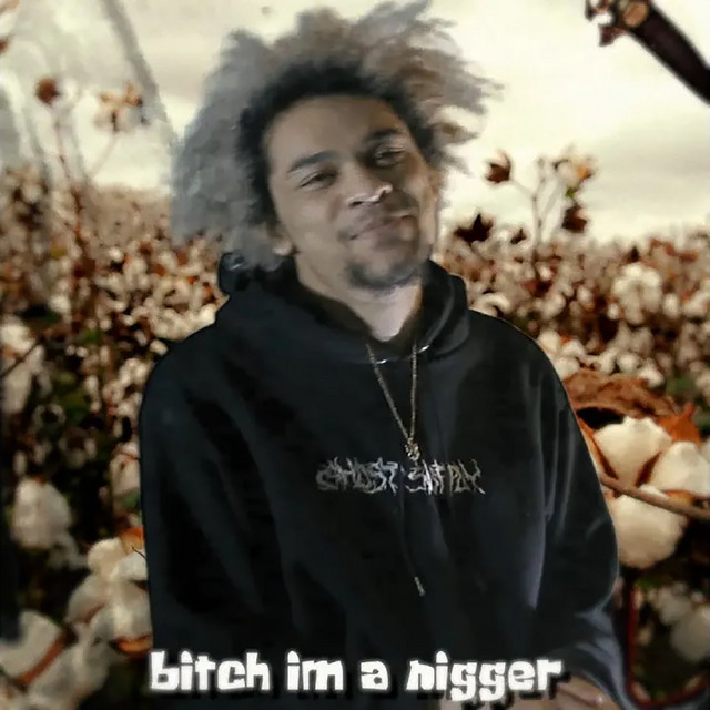 Bitch I'm A nigger (Extended Version)