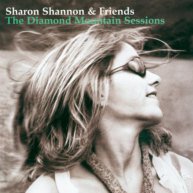 The Galway Girl (feat. Steve Earle)