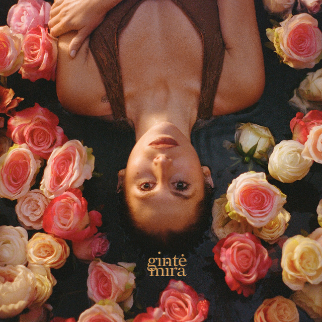 mira cover art