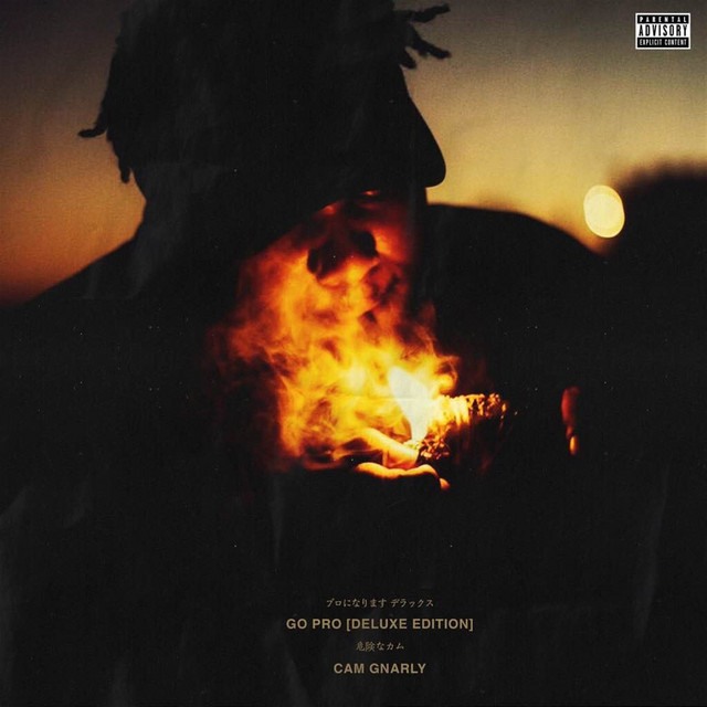 Go Pro (Deluxe Edition) cover art