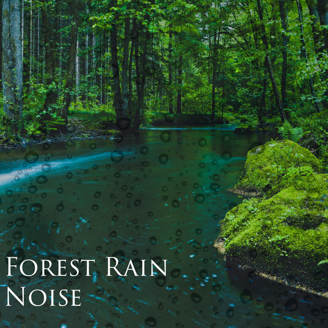 Forest Rain Noise cover art