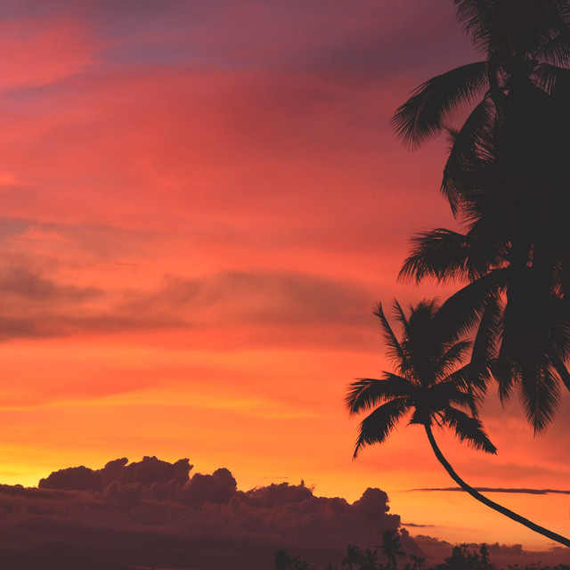 Lofi Sunsets cover art