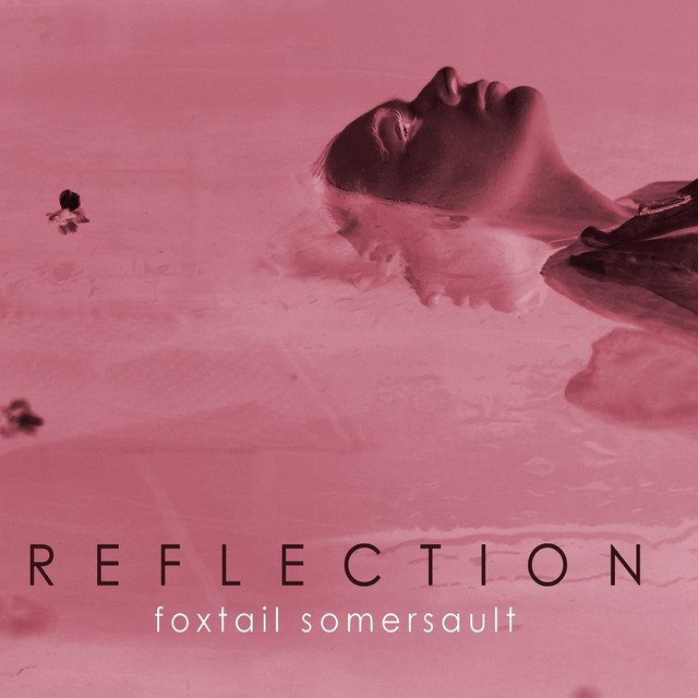 Reflection cover