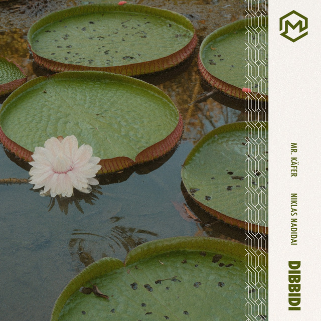 Dibbidi album image