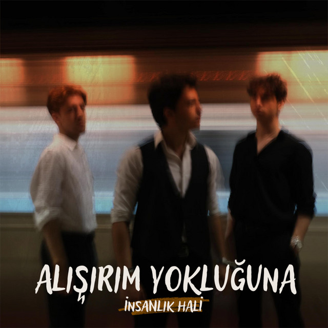 Alışırım Yokluğuna cover art