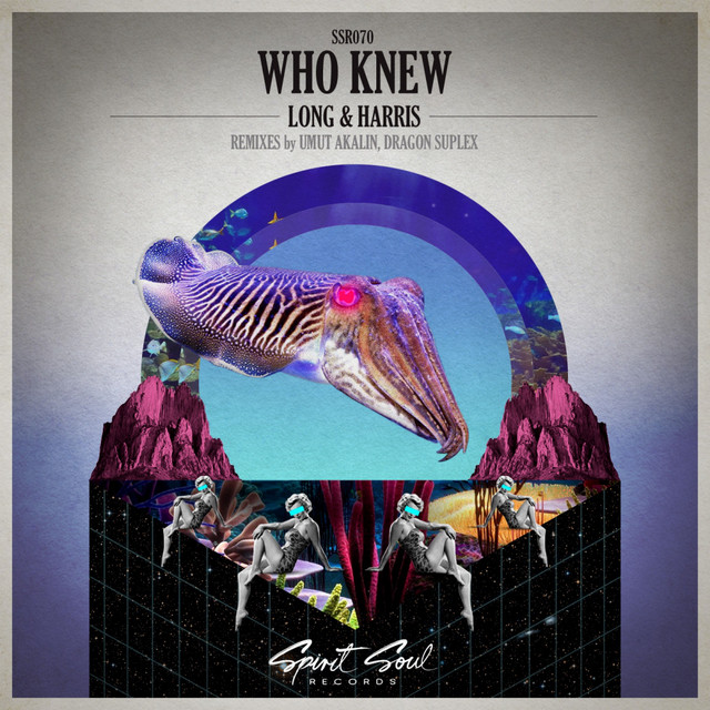 Who Knew - Umut Akalin Remix cover art