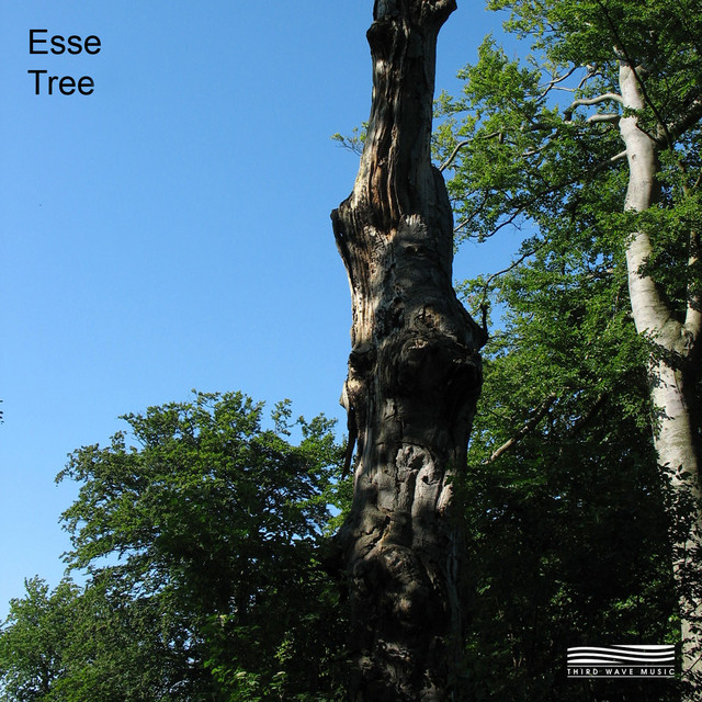 Homeless cover art