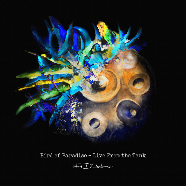 Bird of Paradise - Live From the Tank cover