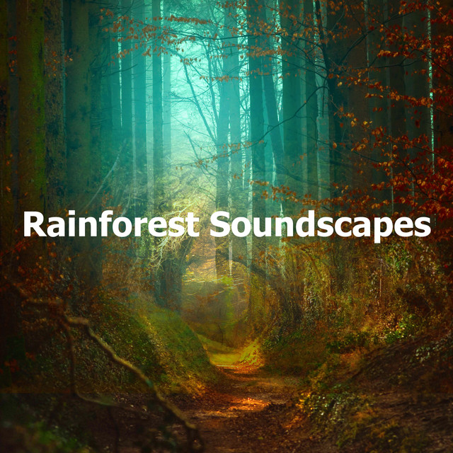 Rainforest Soundscapes - Album by Nature & Rainforest Sounds Collective ...