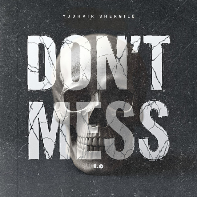 Don’t Mess 1.0 cover art