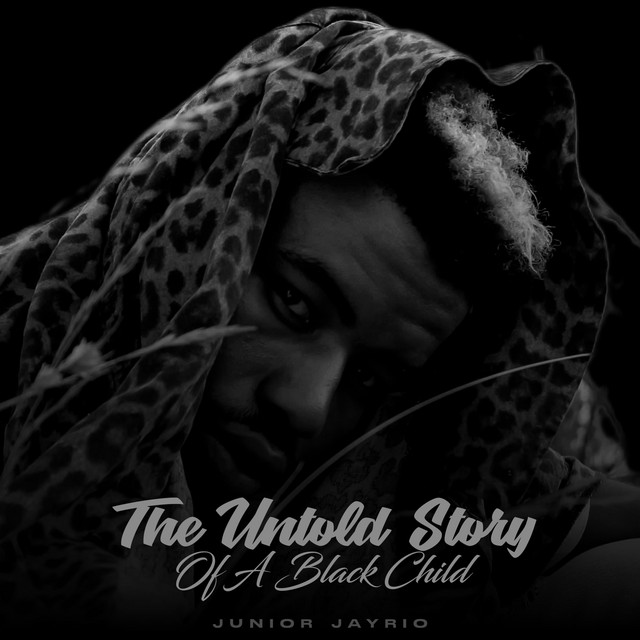 The Untold Story Of A Black Child cover art