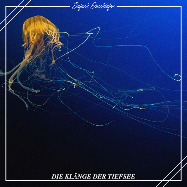 Die Klänge der Tiefsee cover art