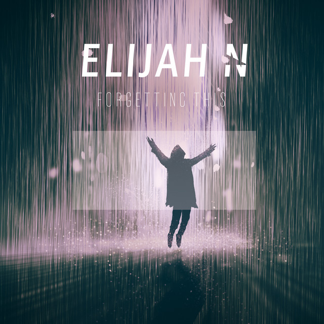 Forgetting This cover art