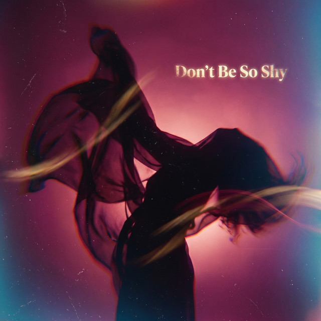 Don't Be So Shy cover