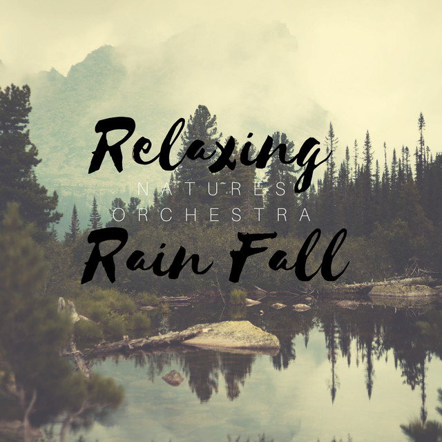Relaxing Rain Fall by Natures Orchestra