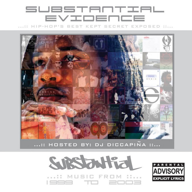 Substantial Evidence (1999-2003) cover