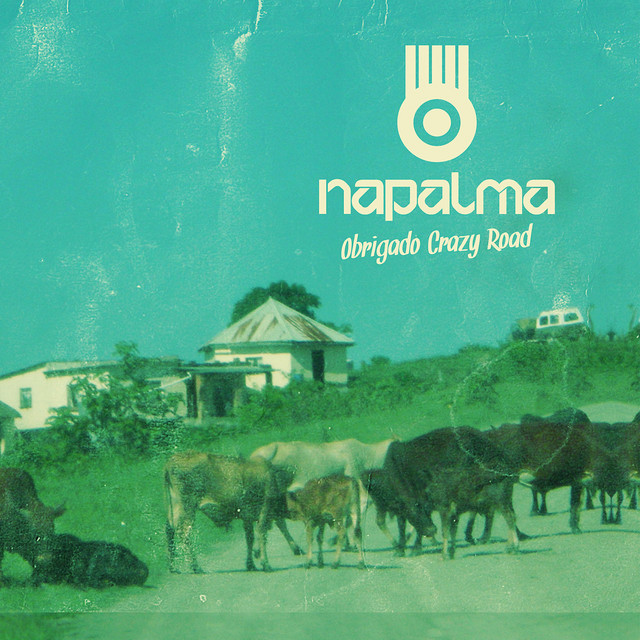 Obrigado Crazy Road cover art
