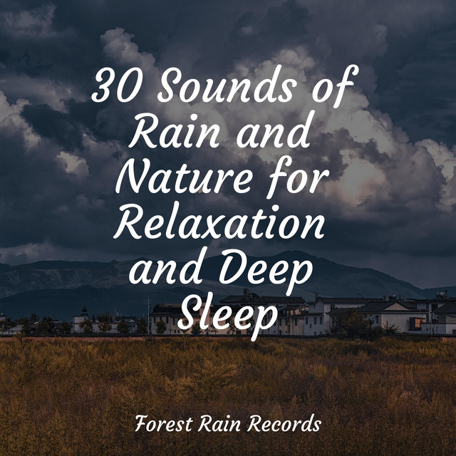 30 Sounds of Rain and Nature for Relaxation and Deep Sleep - Album by ...