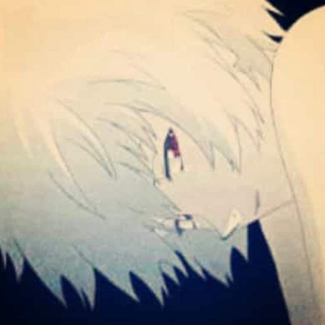 telhado da escola cover art
