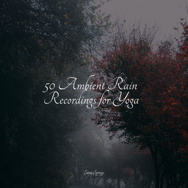50 Ambient Rain Recordings for Yoga - Album by Relaxed Minds | Spotify