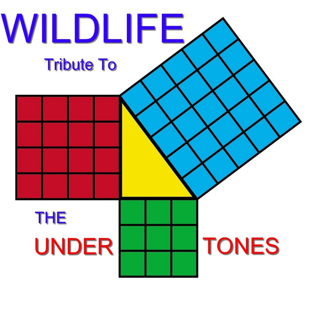 Tribute to the Undertones cover art