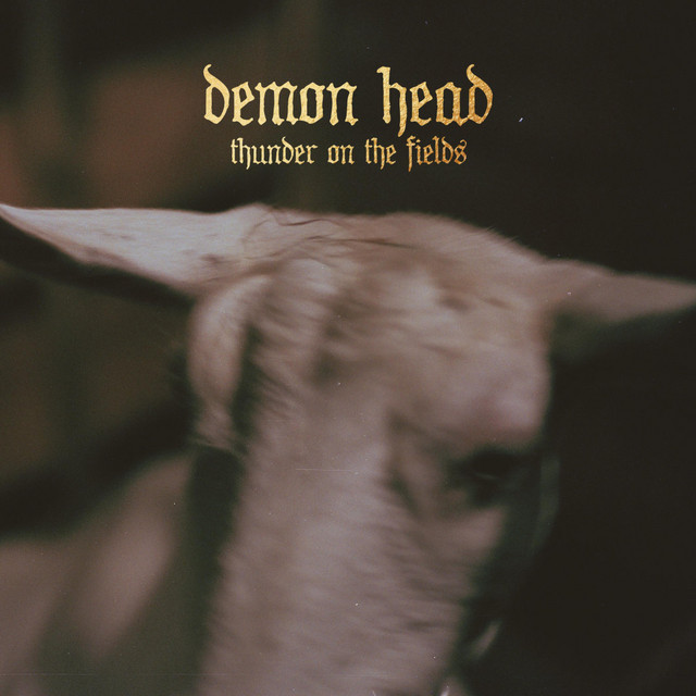 Thunder on the Fields cover art