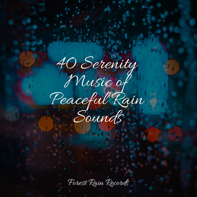 40 Serenity Music of Peaceful Rain Sounds cover art