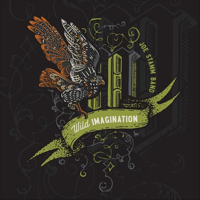 Wild Imagination cover art