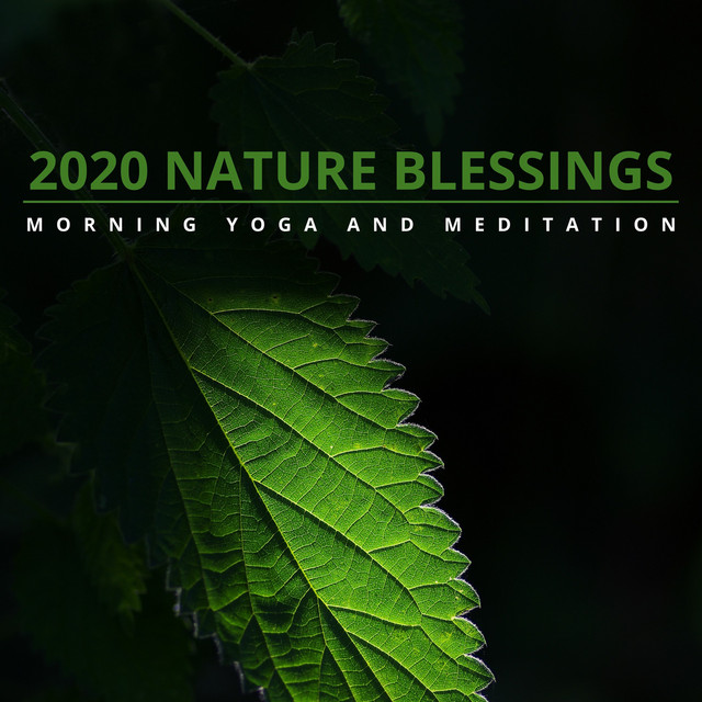 2020 Nature Blessings - Morning Yoga and Meditation cover art