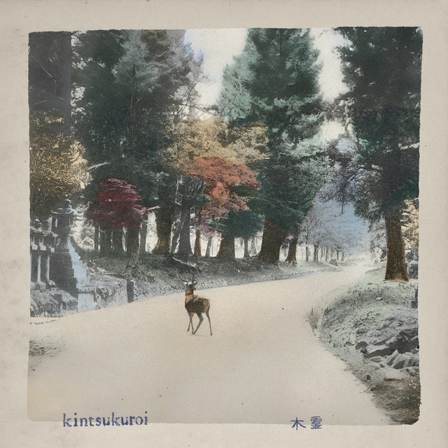 undefined album image